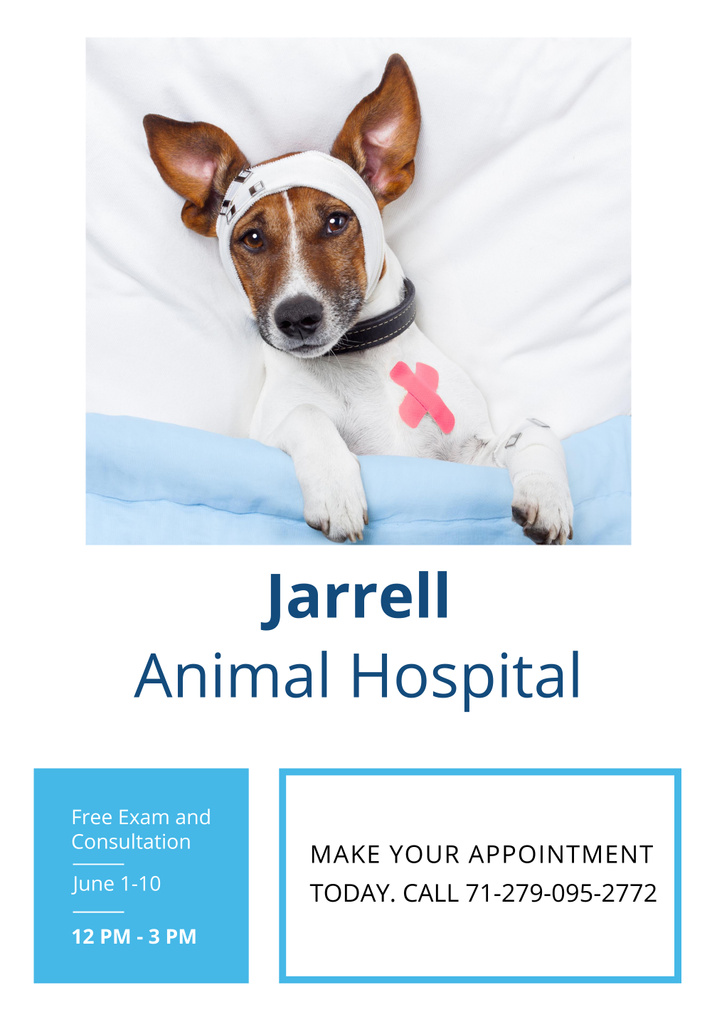 Designvorlage Veterinary Clinic Service Proposal with Dog on White für Poster 28x40in
