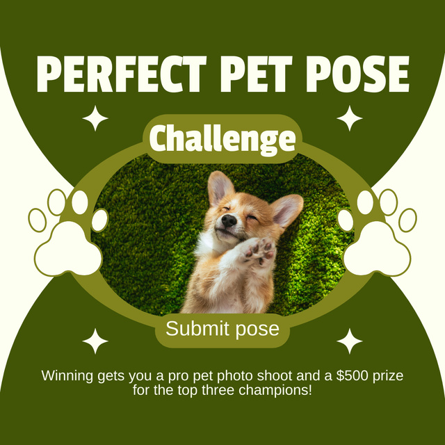 Plantilla de diseño de Perfect Pose Challenge Contest for Dogs Instagram AD 