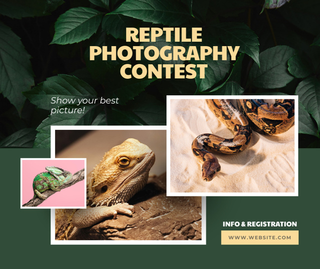 Reptile Photography Contest Announcement Facebook tervezősablon