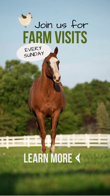 Plantilla de diseño de Exciting Farm Visits With Horse Riding Offer TikTok Video 