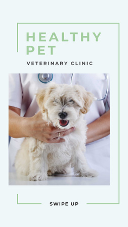 Cute Puppy in Veterinary Clinic Instagram Story Modelo de Design