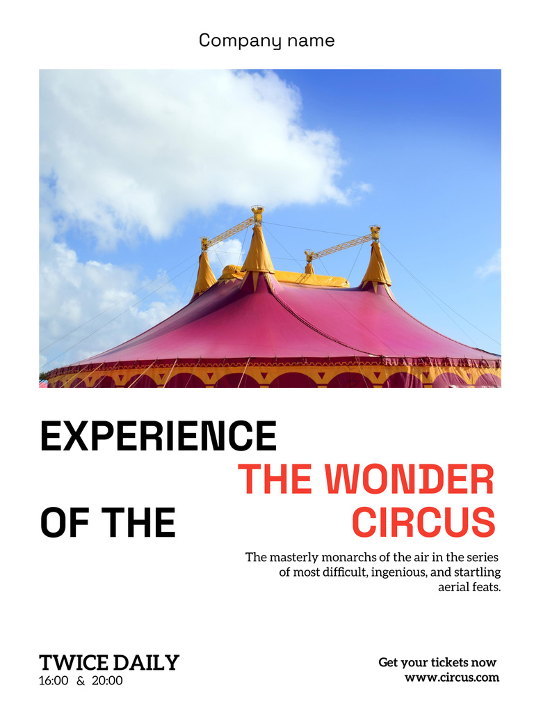 Plantilla de diseño de Captivating Circus Performance Event Announcement Poster 36x48in 