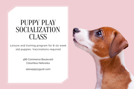 Plantilla de diseño de Anuncio de clase de socialización de cachorros con lindo perro Flyer 4x6in Horizontal 