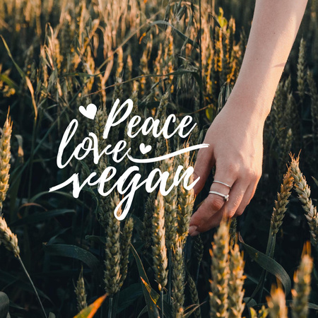 veganská koncepce životního stylu s pšeničným polem Instagram Šablona návrhu