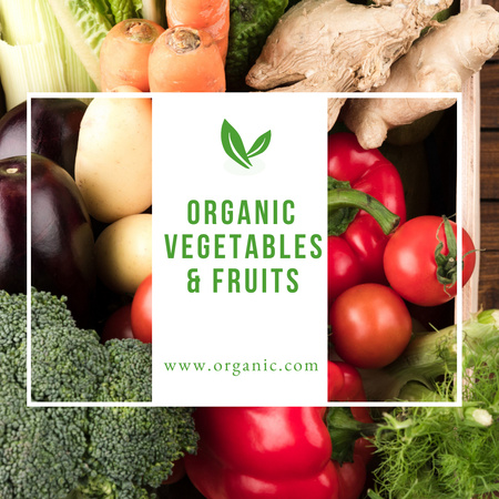 Ontwerpsjabloon van Instagram van Aanbod Biologische Groenten en Fruit