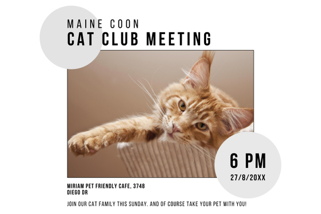 Cat Club Meeting Announcement with Cat Poster 24x36in Horizontal Design Template