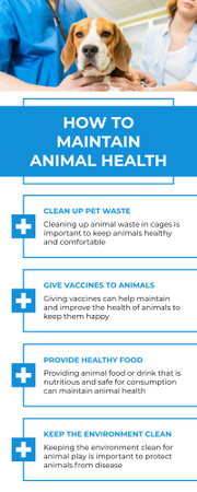 Animal Health Maintaining Infographic – шаблон для дизайну