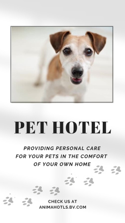 Pet Hotel Ad Instagram Video Story – шаблон для дизайна