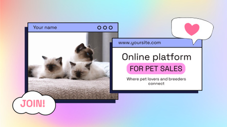 Adorable Kittens At Online Platform For Pet Sales Full HD video Design Template