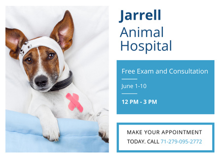 Animal Hospital With Cute Injured Dog Postcard 5x7in Modelo de Design