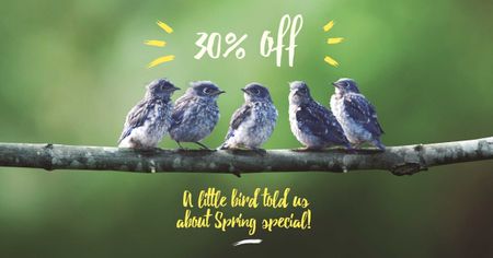 Easter Offer with Cute Birds on Branch Facebook AD Design Template