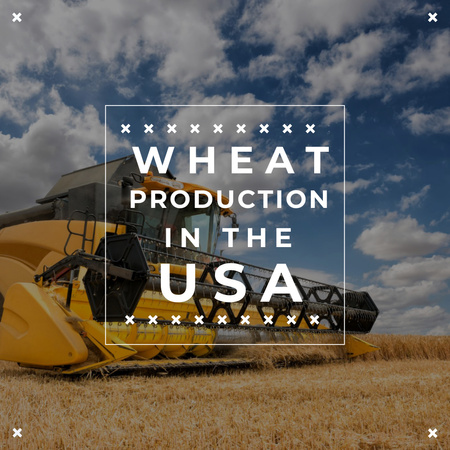Plantilla de diseño de Producción de trigo con cosechadora trabajando en campo Instagram 