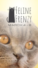 Awesome Feline Fair Announcement In March