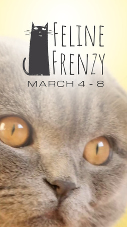 Потрясающее объявление о выставке кошек в марте TikTok Video – шаблон для дизайна