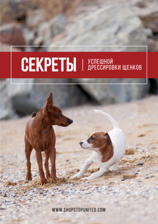 Secrets of puppy training Poster – шаблон для дизайна