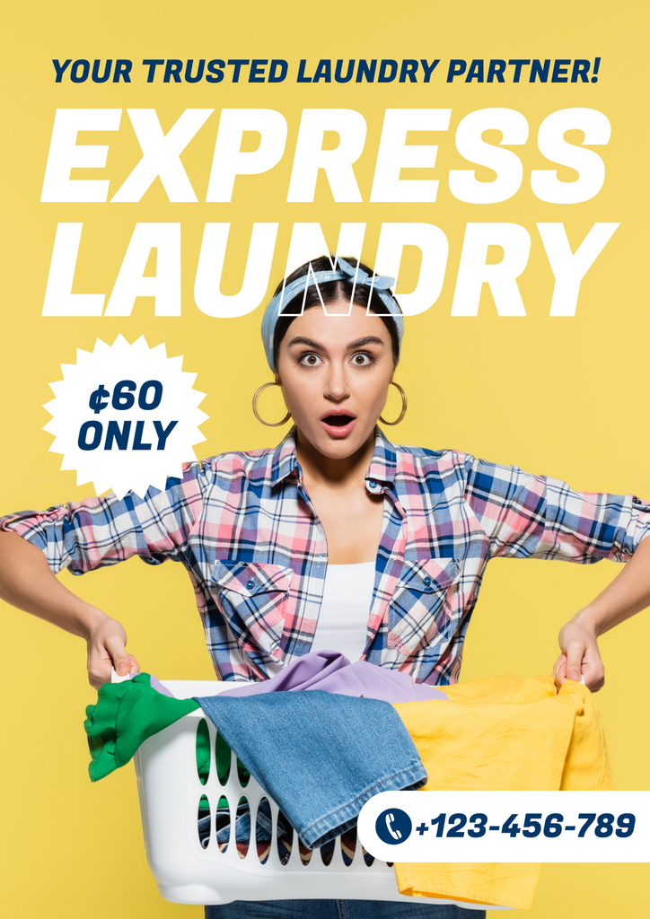 Express Laundry Service Offer Poster Šablona návrhu