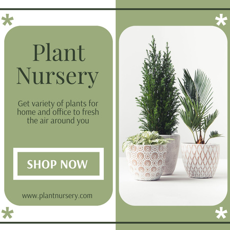 Plant Nursery Promotion With Plants In Pots Instagram Design Template