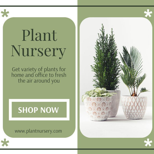 Plant Nursery Promotion With Plants In Pots Instagram tervezősablon