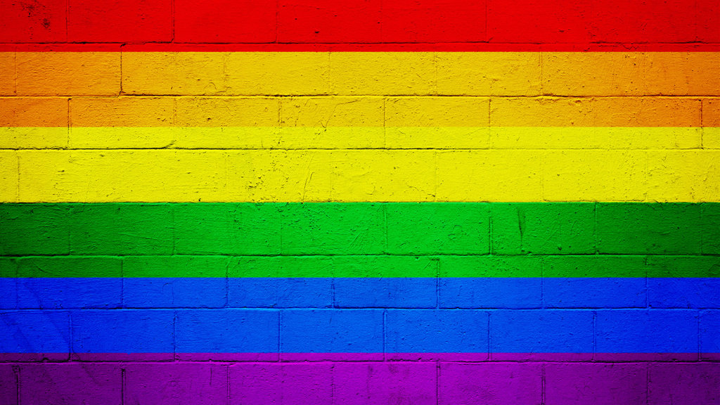 Template di design Brick Wall Painted Rainbow Colors Zoom Background