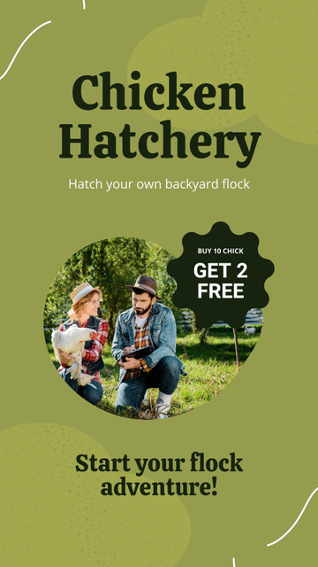 Chicken Hatchery Offers on Green Instagram Video Story – шаблон для дизайну