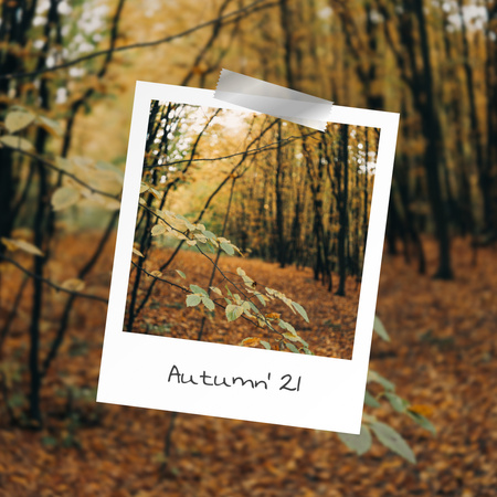 Ontwerpsjabloon van Instagram van prachtig herfstbos