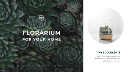 Designvorlage Blumenshop-Anzeige für Sukkulenten in Grün für Full HD video