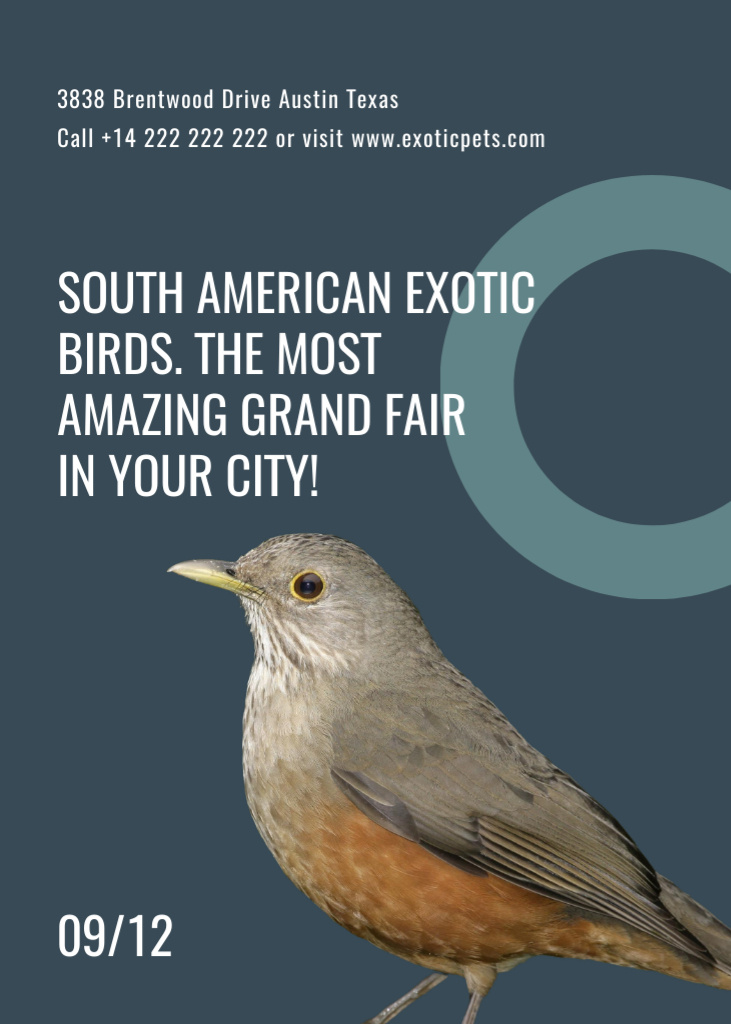 Exotic Birds Fair Announcement on Grey Flayerデザインテンプレート