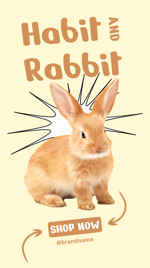 Pet Shop Promotion With Cutest Bunny Instagram Story tervezősablon