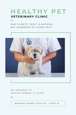 Plantilla de diseño de Vet Clinic Ad Doctor Holding Dog Invitation 6x9in 