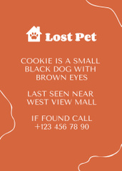Vivid Orange Announcement about Missing Dog