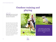 Secrets of successful puppy training