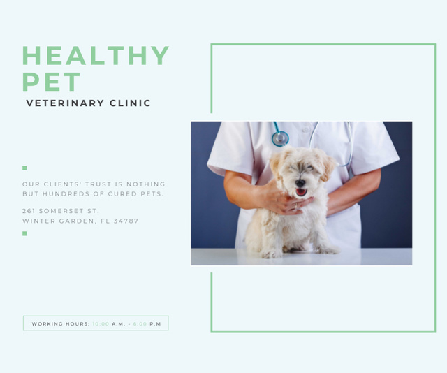 Designvorlage Healthy Pet Veterinary Clinic Offer für Medium Rectangle