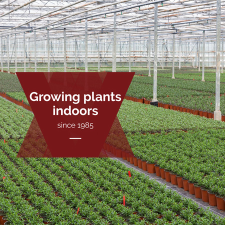 Farming plants in Greenhouse Instagram Design Template
