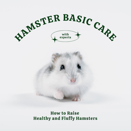 Hamster Care Service Offer Instagram AD Design Template