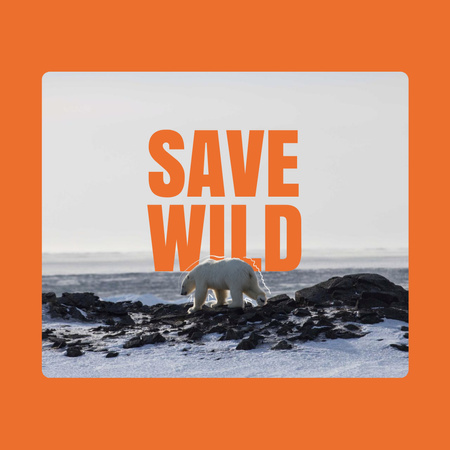Climate Change Awareness with Polar Bear Animated Post Design Template