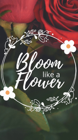 Template di design Red Roses And Motivational Quote TikTok Video