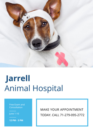 Animal Hospital Ad with Cute Injured Dog Flyer A7 Design Template