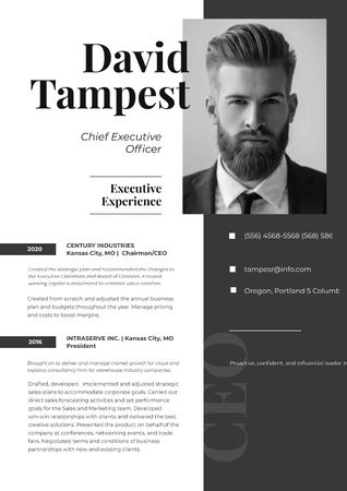 Chief Executive Officer skills and experience Resume – шаблон для дизайну