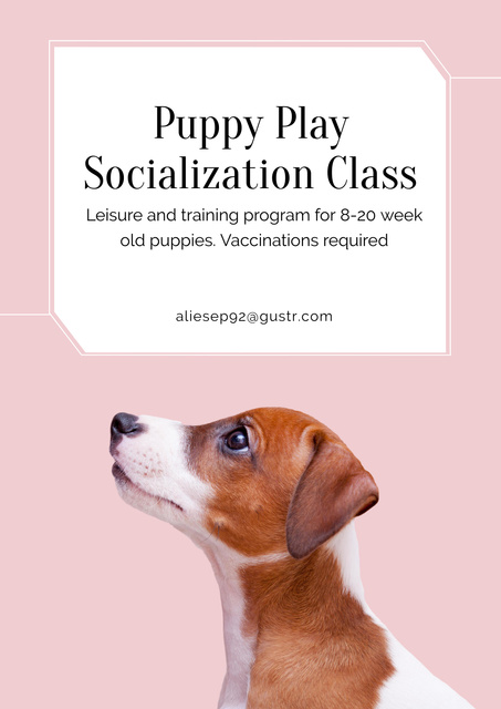 Young Dog Social Skills Class Promotion With Trainings Poster Design Template