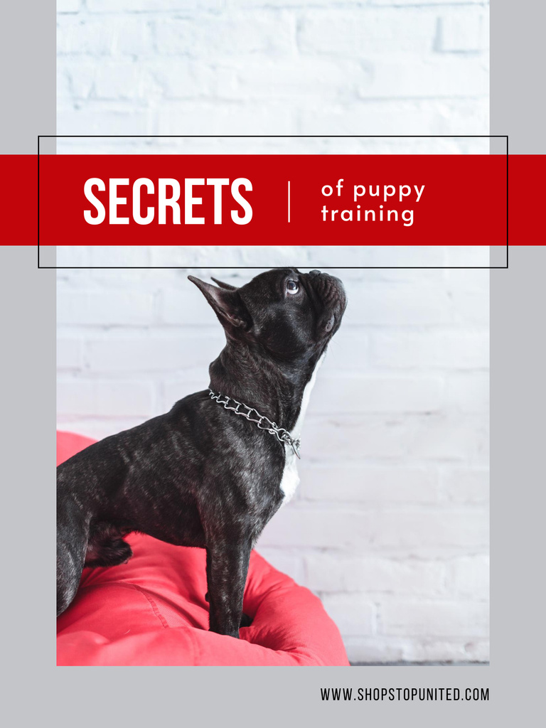Platilla de diseño Pets Behavior Two Dogs on a Walk Poster US