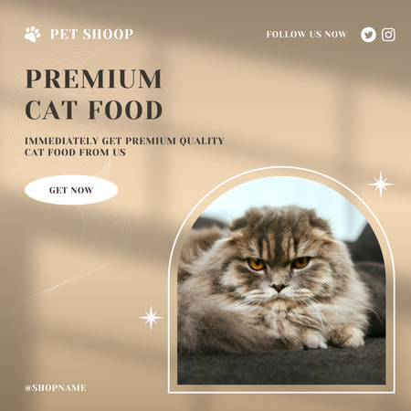 Premium Pet Food Offer with Fluffy Cat Instagram Design Template