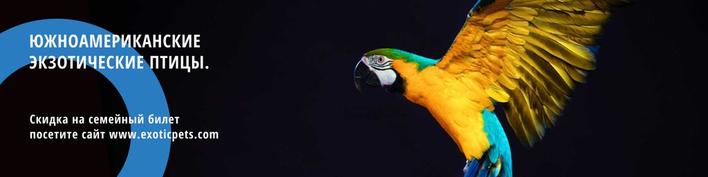 Plantilla de diseño de South American exotic birds fair Twitter 
