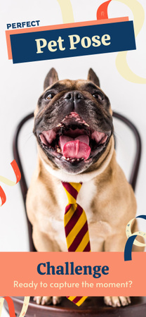 Designvorlage Pet-Posing-Wettbewerb für Hunde für Snapchat Geofilter