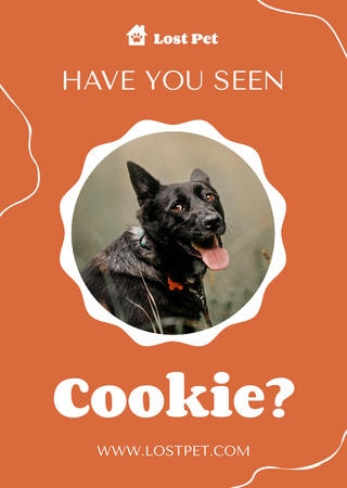 Orange Ad about Missing Black Dog Flyer A6 Tasarım Şablonu