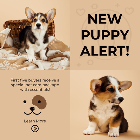 Cute Puppies Sale Offer on Beige Instagram AD Design Template