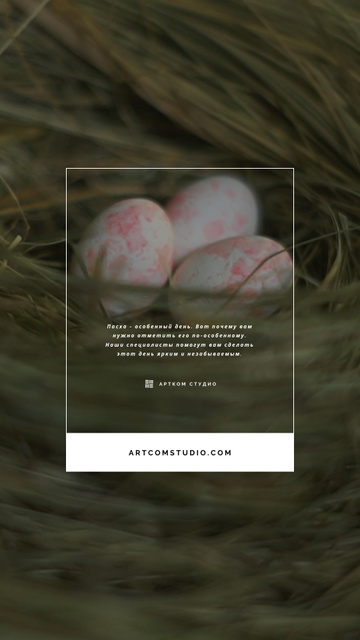 Easter Greeting Colored Eggs in Nest Instagram Video Story – шаблон для дизайна