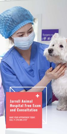 Exame de cães em clínica veterinária Graphic Modelo de Design