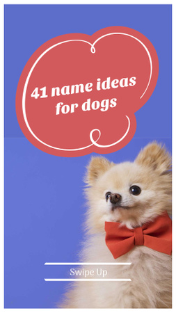 Template di design Name Ideas for Dogs Ad with Cute Puppy Instagram Story