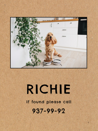Photo of Lost Dog Poster US Design Template