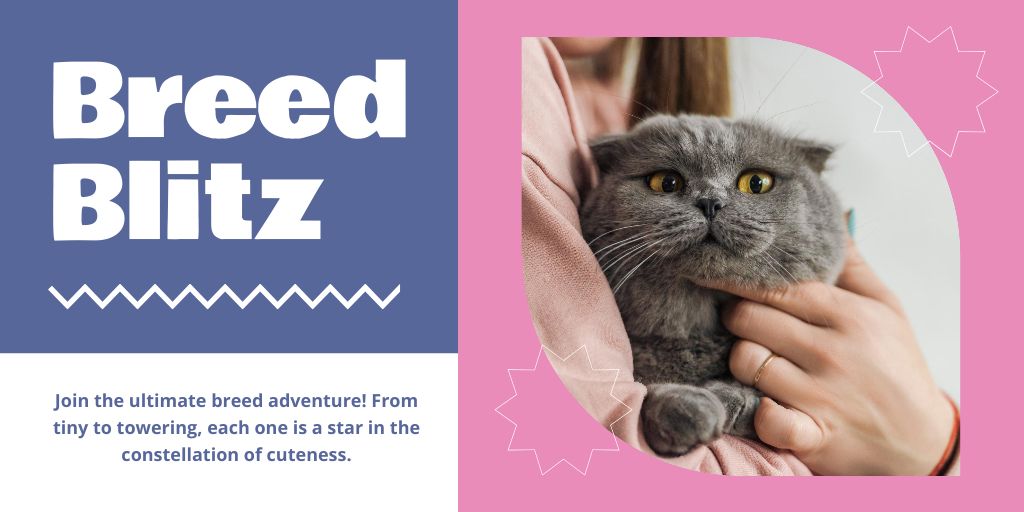 Woman Hugs Furry Cat Twitter – шаблон для дизайну